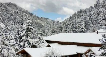 Lugares al norte de México para disfrutar de la nieve este próximo invierno