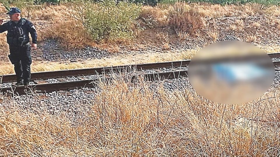 Hombre pierde la vida al caer de ferrocarril.