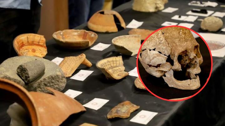'Mi primera chamba': una persona rompió un cráneo de 700 años de antigüedad
