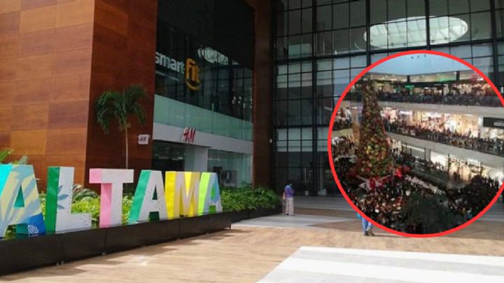 Habrá 'caída de nieve' en Tampico: ¿dónde y cuándo será?