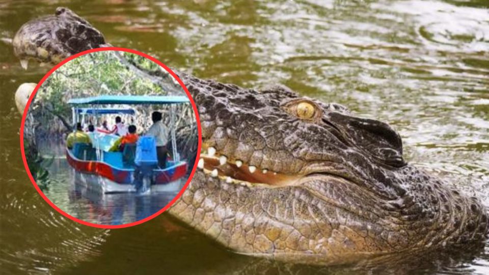 El ataque del reptil por poco y termina en tragedia