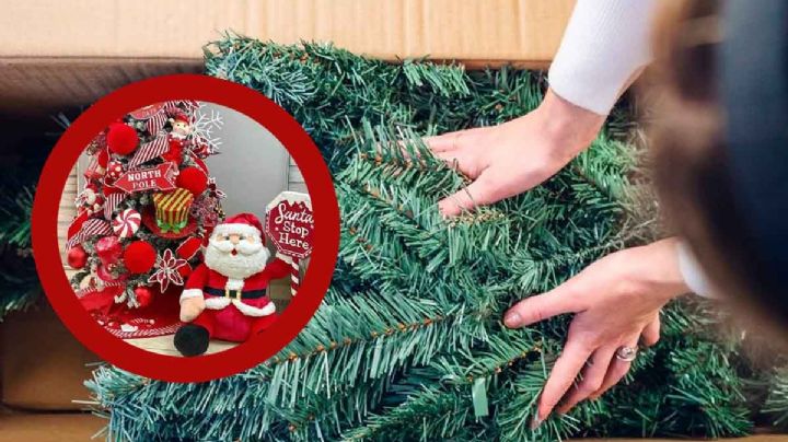 ¿Cuándo se debe poner el Árbol de Navidad?; esta es la tradición