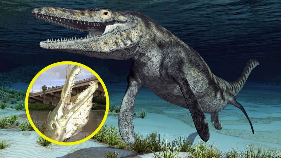 El Yaguarasaurus fue mucho más grande que el catán del Río Bravo