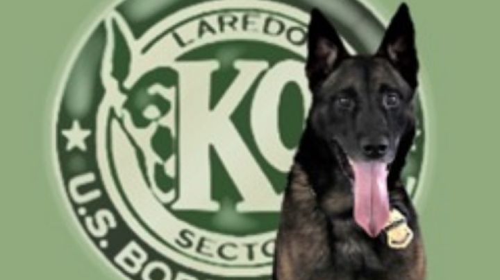 Se pierde agente canino de la Patrulla Fronteriza en Laredo; piden ayuda para hallarlo