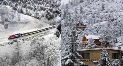 Nieve en México en esta temporada invernal: ubicaciones turísticas