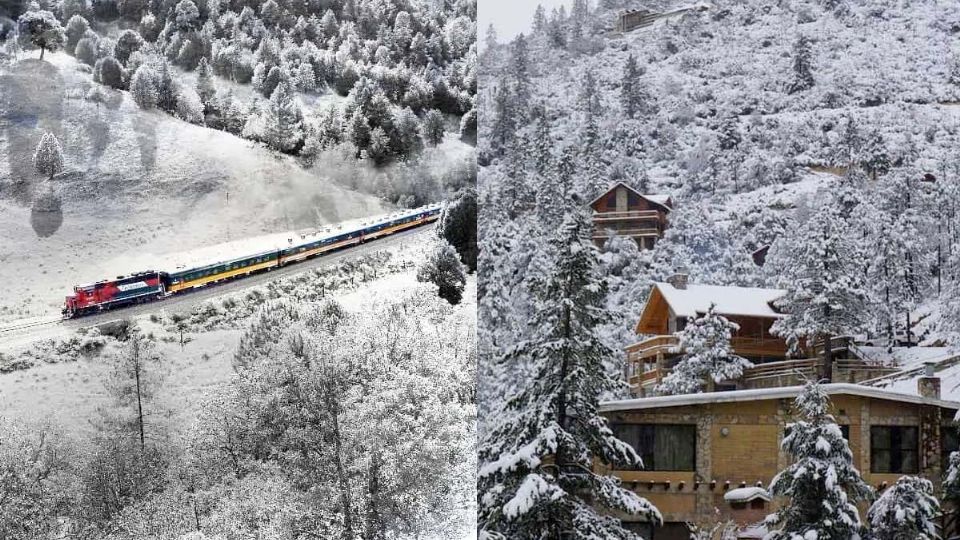 En México existen lugares dónde la caída de nieve transforma a los paisajes