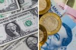 Así se comporta el peso mexicano: Tipo de cambio dólar HOY 23 de febrero del 2024