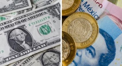 Este es el avance del peso mexicano: Tipo de cambio del dólar HOY 13 de febrero del 2024