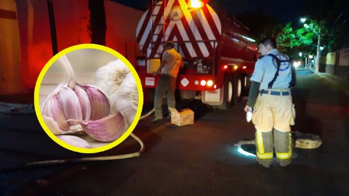 ¿Por qué reportaron olor a ajo en Zapopan y Guadalajara en drenajes?