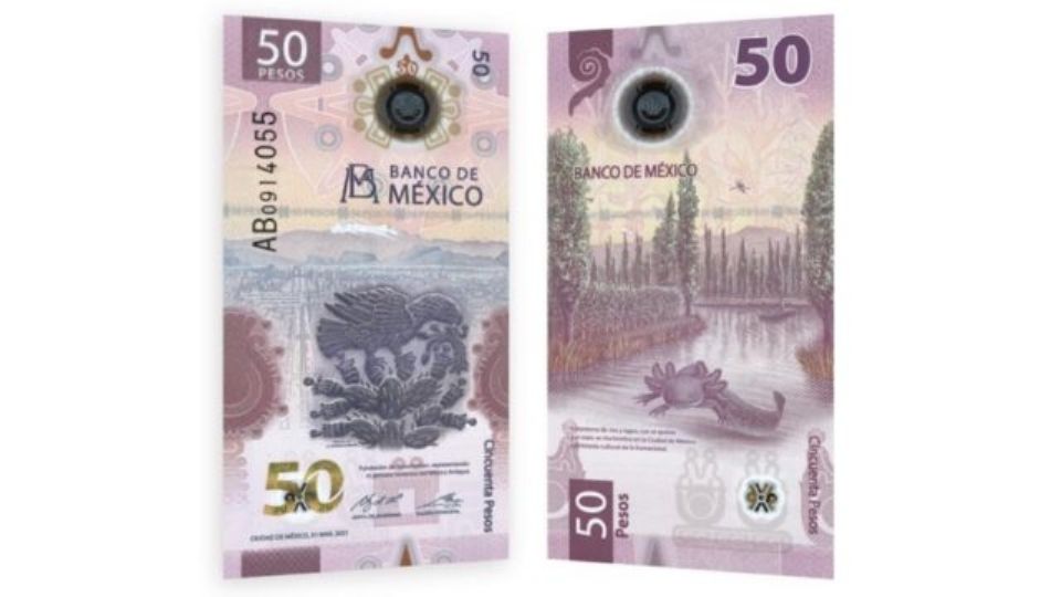 De acuerdo al uso de un billete se puede establecer su tiempo de vida