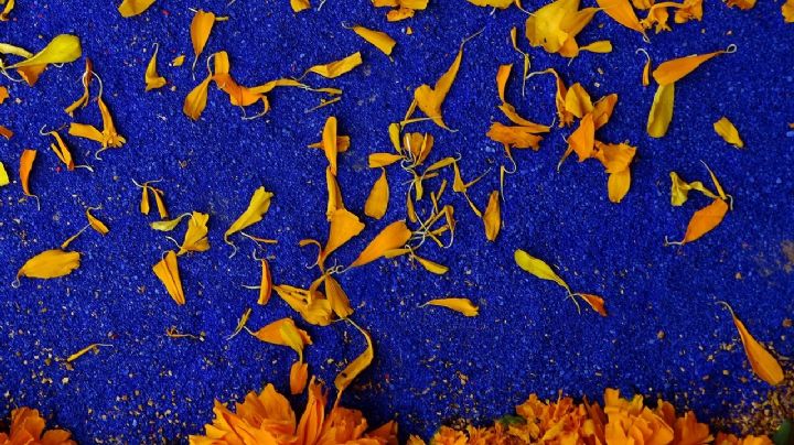 Esto puedes hacer con la flor de cempasúchil que quedó del altar de muertos