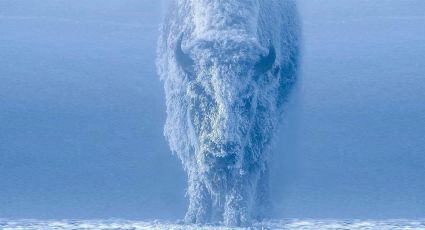 Súper nevadas en Yellowstone esta semana: así puedes viajar desde México