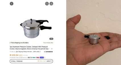 Mujer consigue 'oferta' en Temu; compra una olla de presión a 26 dólares y recibe una miniatura