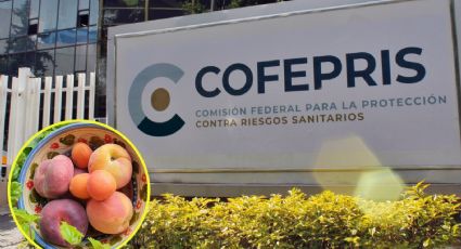 Alerta Cofepris por frutas importadas de Estados Unidos contaminadas con peligrosa bacteria