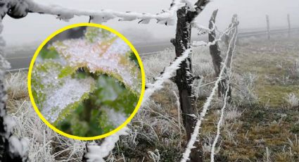 Frente Frío 17: aguanieve, temperaturas de -10 grados y lluvias en estos estados