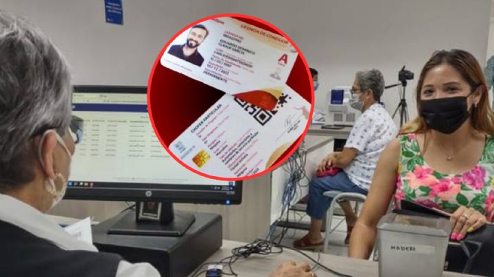 Licencia de conducir permanente en Tamaulipas, paso a paso para trámite en línea