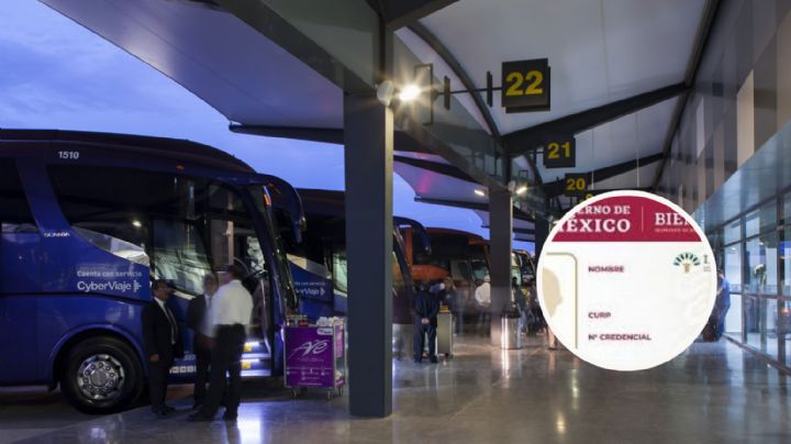 Tarjeta INAPAM, ¿qué descuentos hay para abuelitos en boletos de autobús y avión para fin de año?