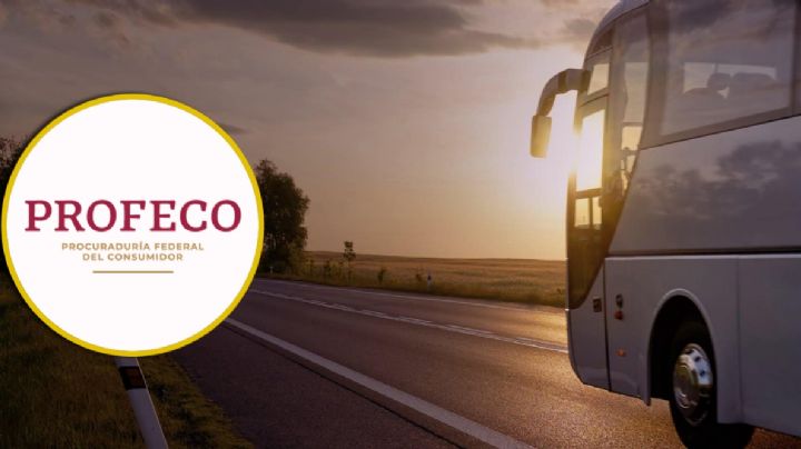 ¿Viajarás en autobús este diciembre? Profeco alerta a usuarios y vacacionistas