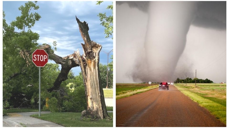 Tornado se lleva a bebé y es encontrado en una árbol.