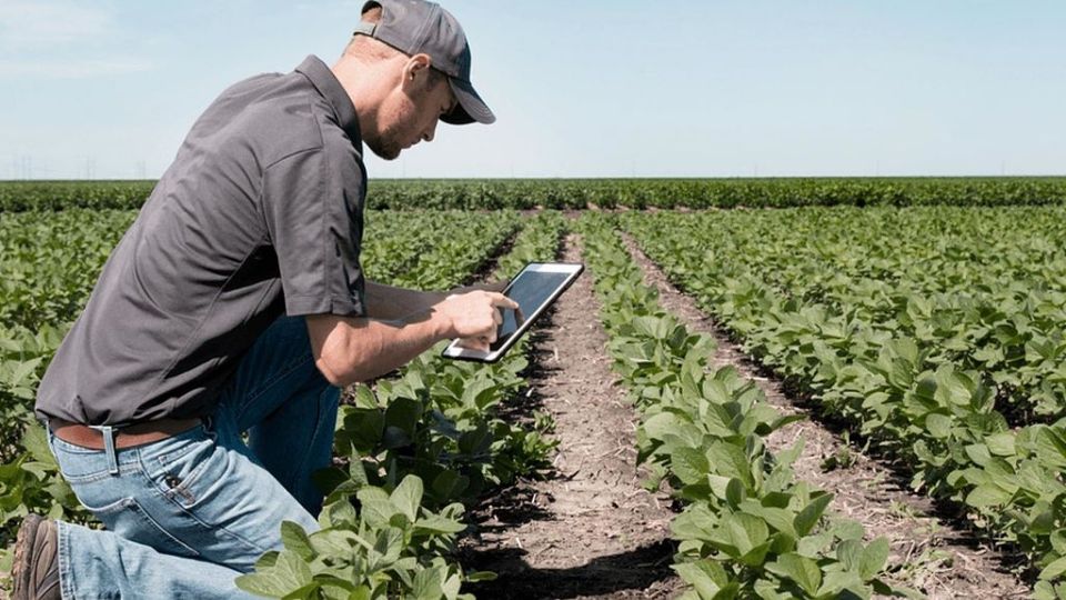 Los interesados debe contar con una licenciatura universitaria en ciencias agrícolas o una carrera a fin