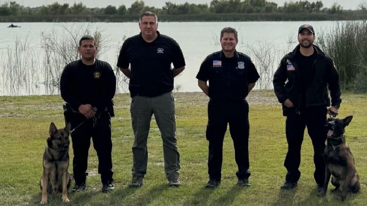 Presentan a dos agentes caninos con la Policía de Laredo; refuerza otro al cuidado de estudiantes