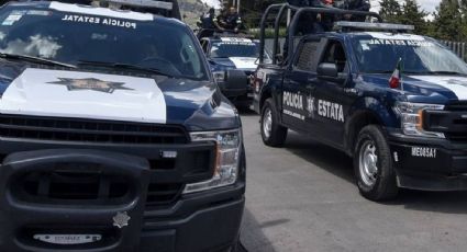 Perros encuentran cuerpo decapitado a lado de la carretera en el Estado de México