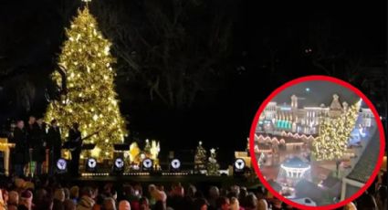 Mujer muere aplastada por árbol de Navidad gigante; estaba comprando sus regalos | VIDEO