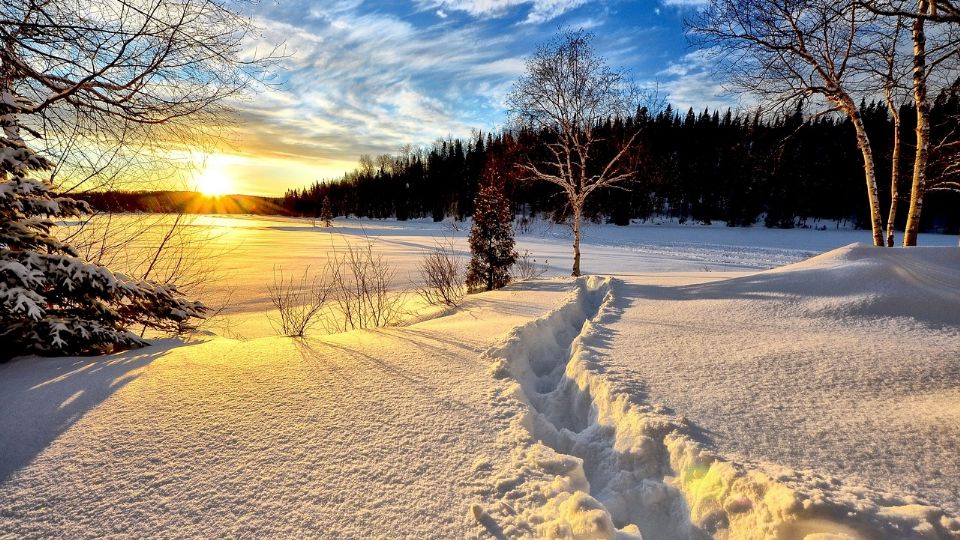 Tormenta de nieve afecta estados de EU