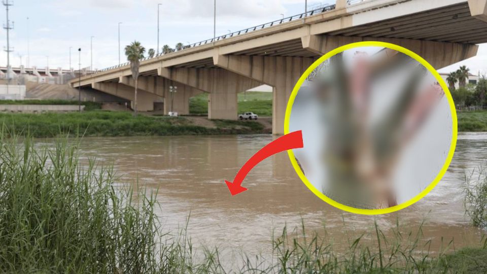 Capturan catán gigante de dos cabezas; pescadores se unen para sacarlo del agua