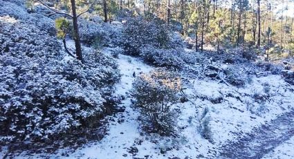 Se registra caída de nieve en Tamaulipas, a un día de que acabe el año