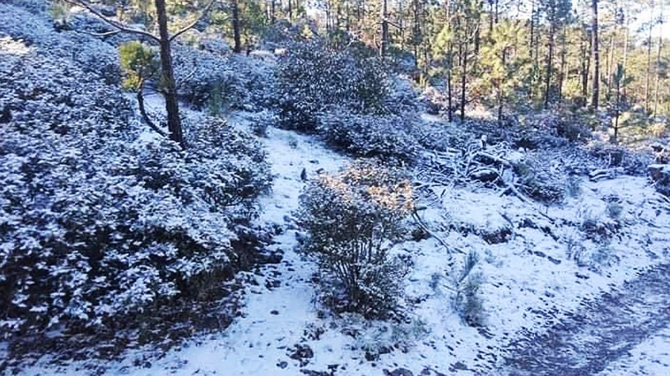 Nieve en Miquihuana