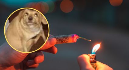 ¿Por qué los perros se alteran y se asustan con los ruidos de los fuegos artificiales?