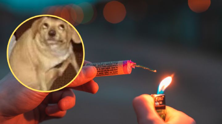 ¿Por qué los perros se alteran y se asustan con los ruidos de los fuegos artificiales?
