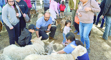 Realiza Colegio de Laredo festival para las familias