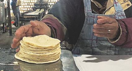 Se mantiene precio del kilo de tortilla; ¿en cuánto está?