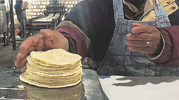 Se mantiene precio del kilo de tortilla; ¿en cuánto está?