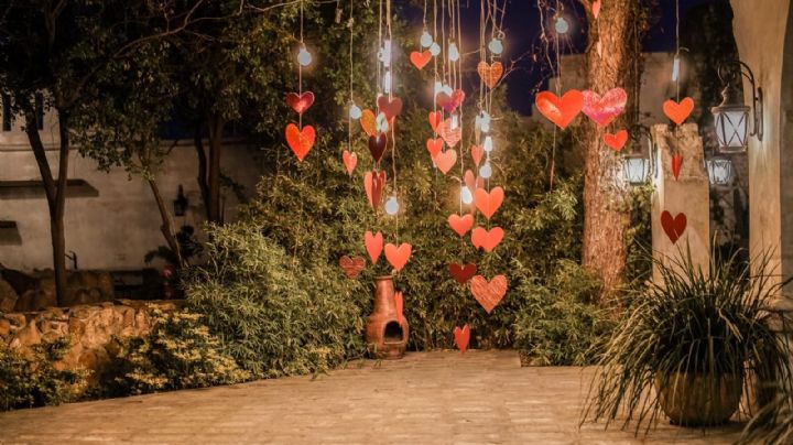 Invitan a 'jardín del amor' para selfies gratis en Nuevo Laredo