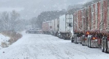 Intensa nevada pinta de blanco carreteras de Sonora; se esperan temperaturas más bajas | FOTOS