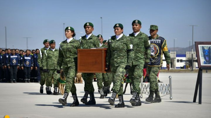 Cumpliste la misión, Proteo: el emotivo homenaje de la Sedena | VIDEO