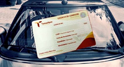 Licencia de conducir permanente, ¿cuál es su precio en noviembre de 2023?