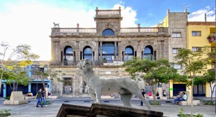 'La casa de los perros': lugar que regalaban en Guadalajara | VIDEO