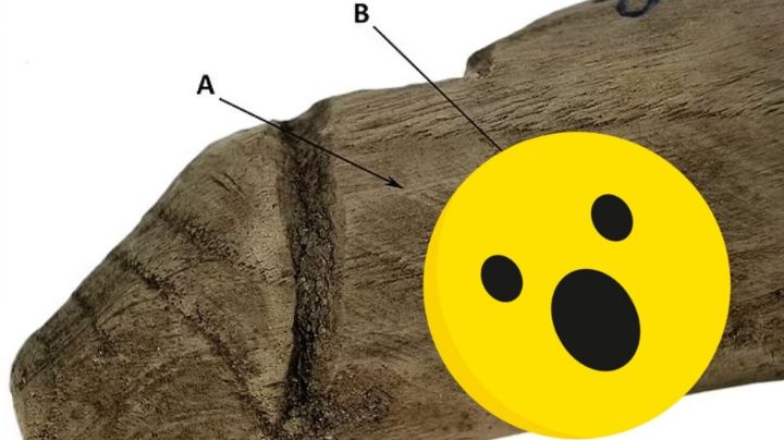 Científicos británicos creen haber encontrado juguete sexual de 2 mil años de antigüedad | FOTO