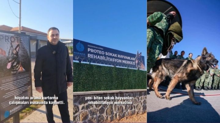 Harán en Turquía homenaje a 'Proteo'; Centro de Rehabilitación llevará su nombre | VIDEO