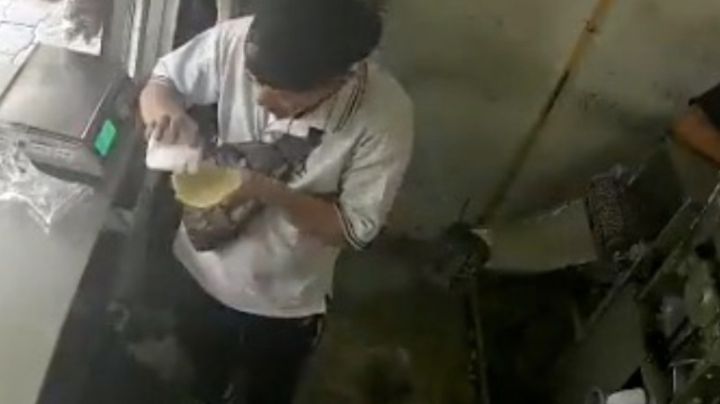 Se comía una tortilla con sal cuando llegan ladrones a asaltarlo | VIDEO
