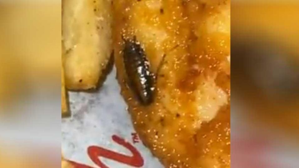 Una cucaracha viva apareció en una orden de pollo