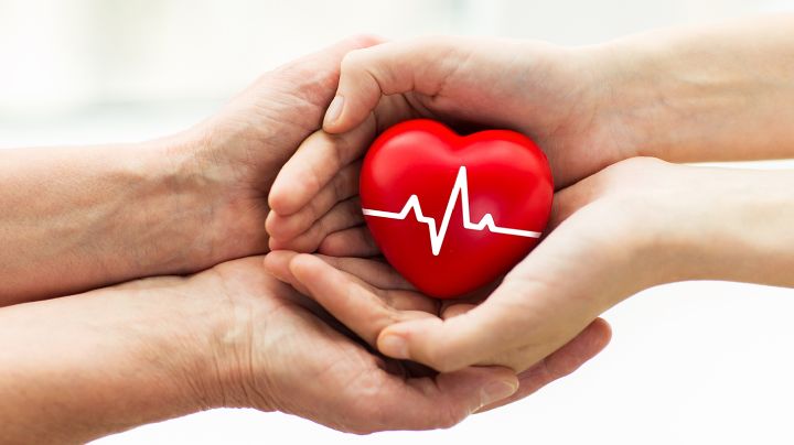 Donación de órganos: así puedes dar vida después de la muerte en México