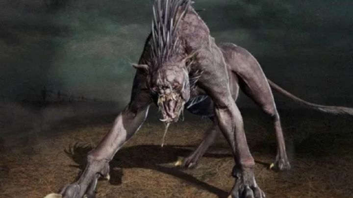 Ataca 'chupacabras' en Tamaulipas; hallan animales muertos