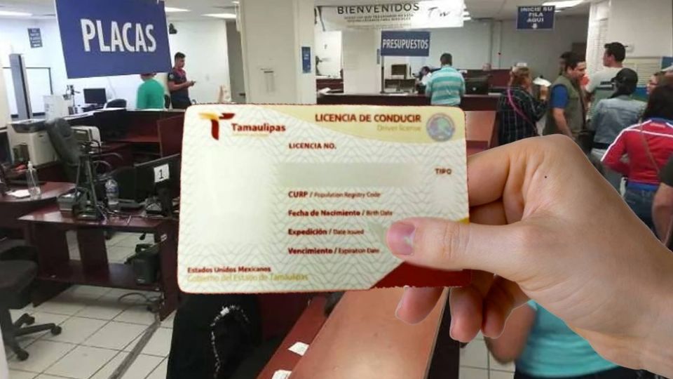 Trámite, requisitos y pago en línea