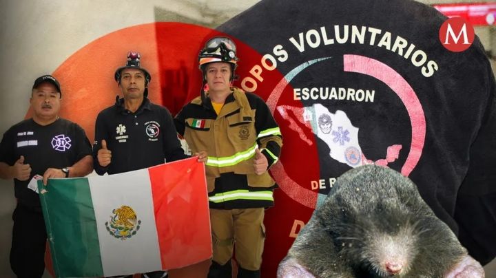 "Topos mexicanos" en camino; ni los escombros los detendrán | CRÓNICA