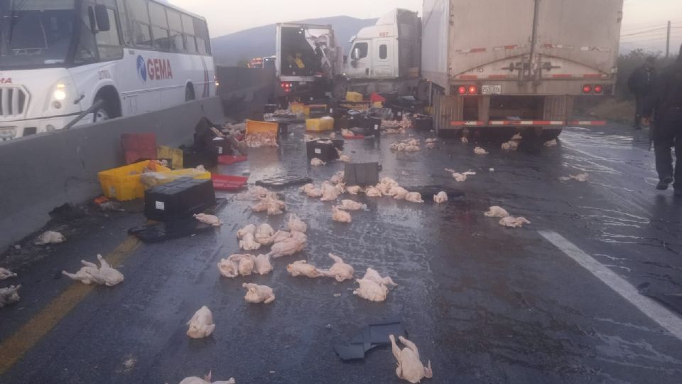 Los pollos quedaron tirados sobre la carretera, pero 'volaron' gracias a los automovilistas.